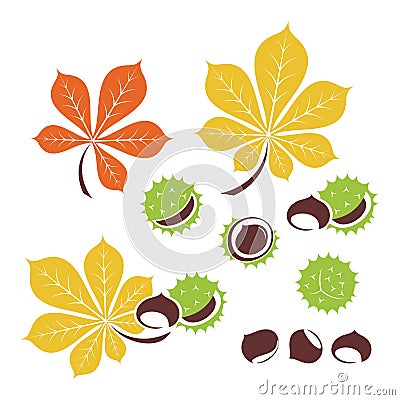 Chestnut icons. Vector illustration Vector Illustration