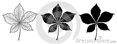 Chestnut leaf. Linear, silhouette. Vector illustration Vector Illustration