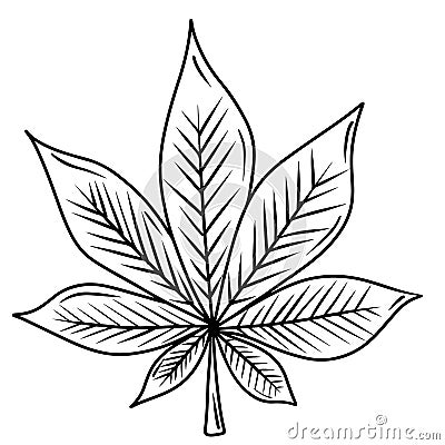 Chestnut leaf sketch hand drawn black line illustration isolated on white background. Hand drawn vector drawing made in doodle Vector Illustration