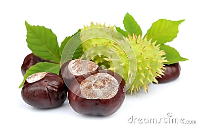 Chestnut with leafs Stock Photo