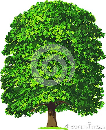Chestnut tree. Vector Cartoon Illustration