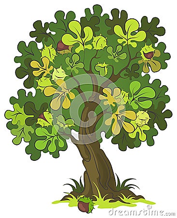 Chestnut tree on white background Vector Illustration