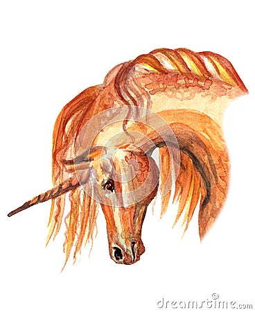 Watercolor unicorn 6 Cartoon Illustration