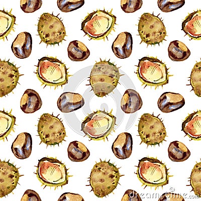Chestnut walnut watercolor seamless pattern. Isolated illustration on white background. Cartoon Illustration