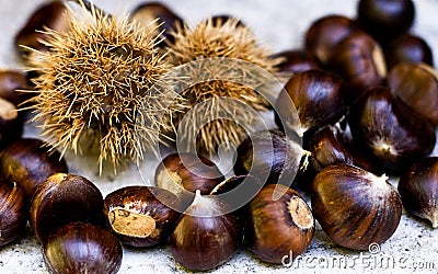 Chestnuts Stock Photo