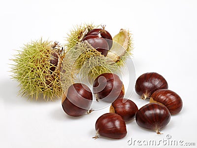 Chestnuts Stock Photo