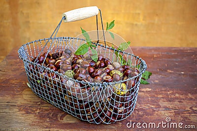 Chestnuts in a basked Stock Photo