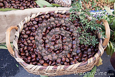 Chestnuts Basket Stock Photo