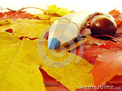 Chestnuts and color pencil Stock Photo