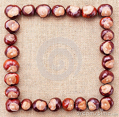 Chestnuts frame Stock Photo