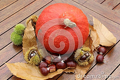 Chestnuts, husk, pumpkin and dead leaves Stock Photo