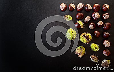 Chestnuts Stock Photo