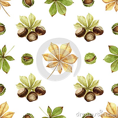 Chestnuts.Nuts and leaves on white seamless background.Traditional thanksgiving food, autumn holidays and a healthy diet Cartoon Illustration