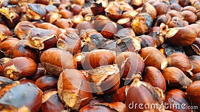 chestnuts roasted in chesnuts festival in greece Stock Photo