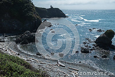 Chetco Point, Brookings, Oregon, driftwood on the beach Stock Photo