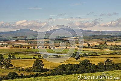 The Cheviot Hills Stock Photo