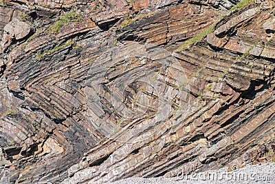 Chevron folding in geological strata at Millook Haven near Crackington Haven in Cornwall Stock Photo