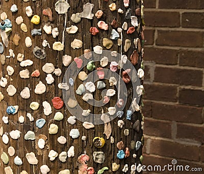Chewing Gum on Pole in Charleston, SC Stock Photo