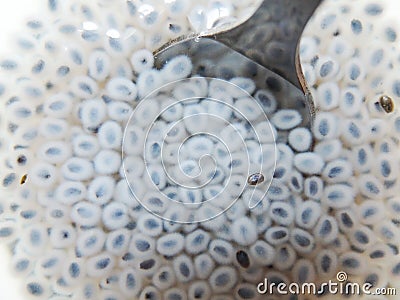 The Chia seeds are ready to eat. Spoon in a glass Stock Photo