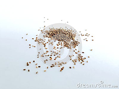 Chia Seeds are the tiny seeds of the Salvia Hispanics plant Stock Photo