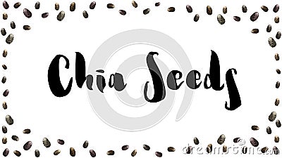 Chia seeds vector background Vector Illustration