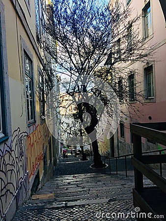 Chiado Neighborhood in Lisbon, Portugal Editorial Stock Photo