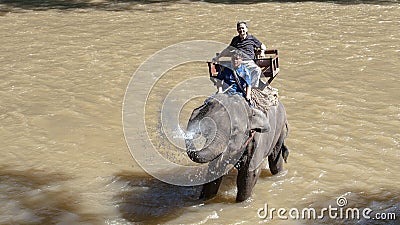 Chiang Mai Elephant Training Camp Editorial Stock Photo