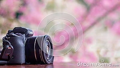 Chiang Mai Thai 18 January 2022 Canon Mirrorless cameras are popular with photographers and videographers.Canon Mirrorless cameras Editorial Stock Photo