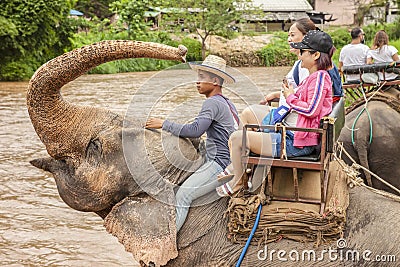 Tourists elephant riding in Chiang Mai Thailand Editorial Stock Photo