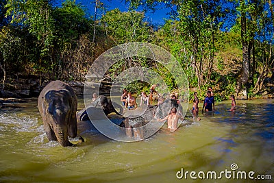 CHIANG RAI, THAILAND - FEBRUARY 01, 2018: A group of tourists are happy to bathe the elephants at Elephant jungle Editorial Stock Photo