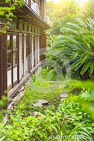 Palm tree in the backyard of a japanese ryokan guesthouse indoor garden. Editorial Stock Photo