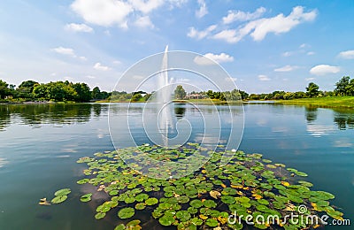 Chicago Botanic Garden Stock Photo