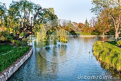 Chicago Botanic Garden Stock Photo