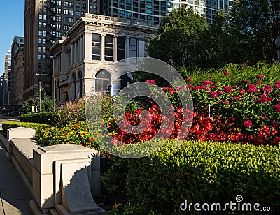 Chicago Cultural Center Editorial Stock Photo