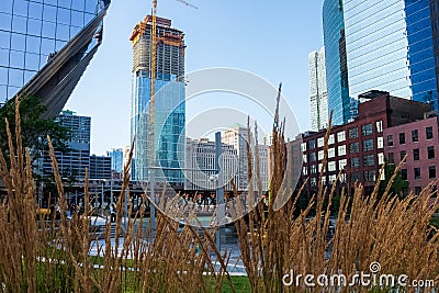 Chicago Loop seen behind tall amber waves of grass with Chicago River, el train and skyscrapers Editorial Stock Photo