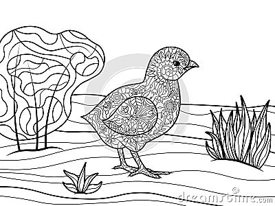 Chick coloring book for adults vector Vector Illustration