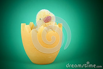 Chick in eggshell Stock Photo