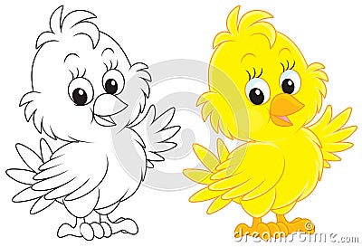 Chick Cartoon Illustration