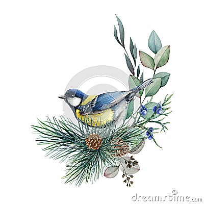 Chickadee bird winter floral arrangement watercolor illustration. Hand drawn natural decor with tit bird, pine, eucalyptus leaves. Cartoon Illustration