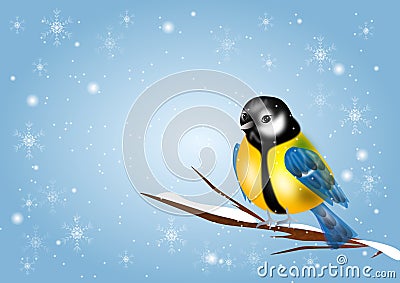 Chickadee on winter background Stock Photo