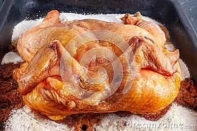 Chicken baked in the oven on a thick layer of salt Stock Photo