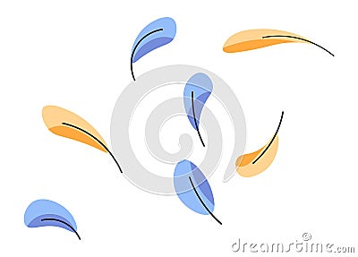 Chicken or birds feather, colorful plumage vector Vector Illustration