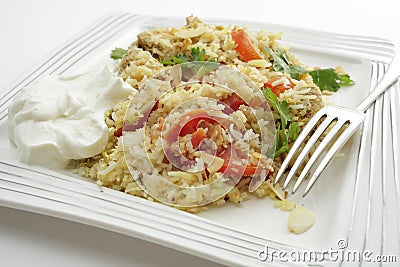 Chicken biriyani meal Stock Photo