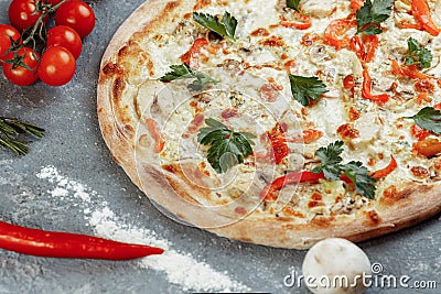 Chicken-blue pizza with tomato, mozzarella and Dor Blue cheeses on gray background Stock Photo