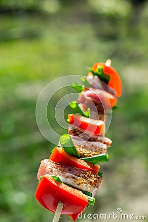 Chicken breast on wooden skew Stock Photo