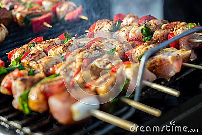 Chicken breast on wooden skew Stock Photo