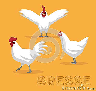 Chicken Bresse Cartoon Vector Illustration Vector Illustration