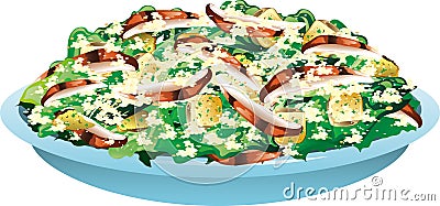 Chicken Ceasar salad Vector Illustration