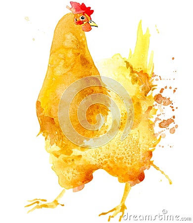 Chicken. Chicken watercolor. Cartoon Illustration