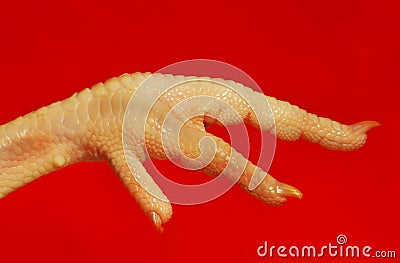 Chicken claw Stock Photo